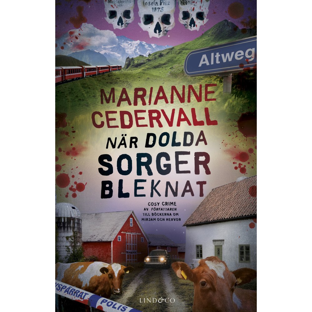 Lind & Co När dolda sorger bleknat (pocket)