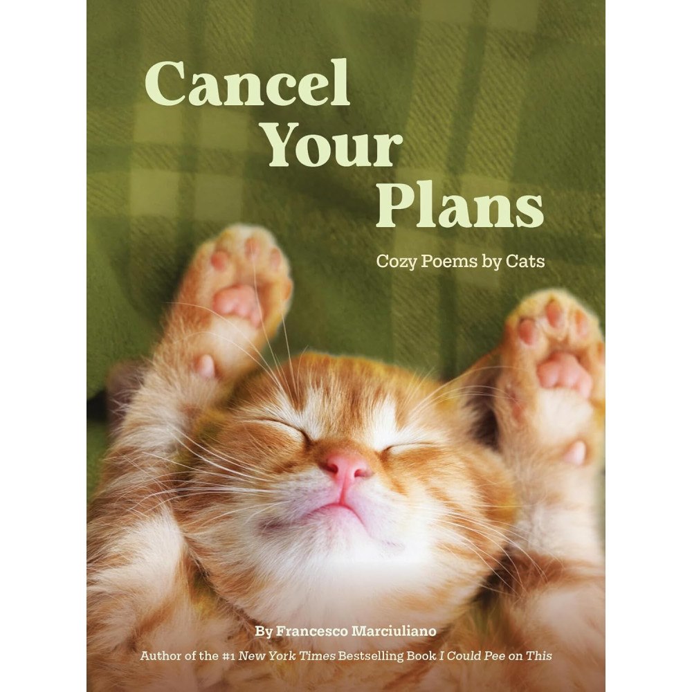 Francesco Marciuliano Cancel Your Plans (inbunden, eng)