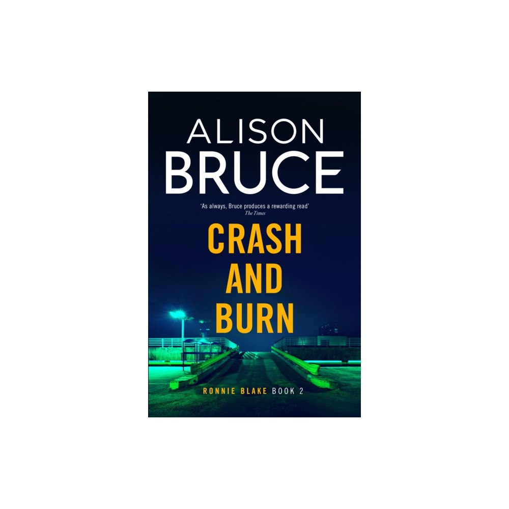 Little, Brown Book Group Crash and Burn (inbunden, eng)
