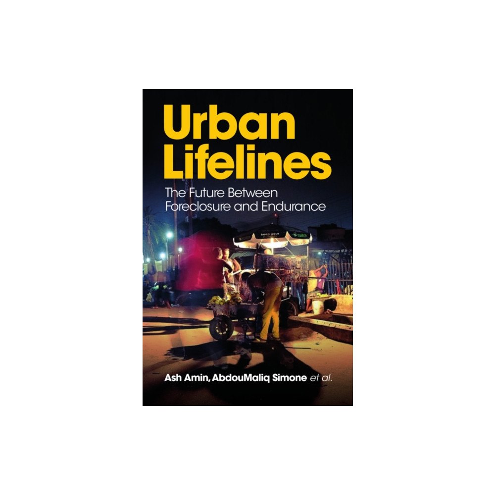 Polity Press Urban Lifelines (häftad, eng)