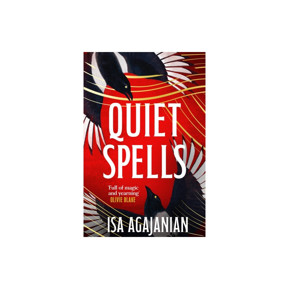 Pan Macmillan Quiet Spells (häftad, eng)