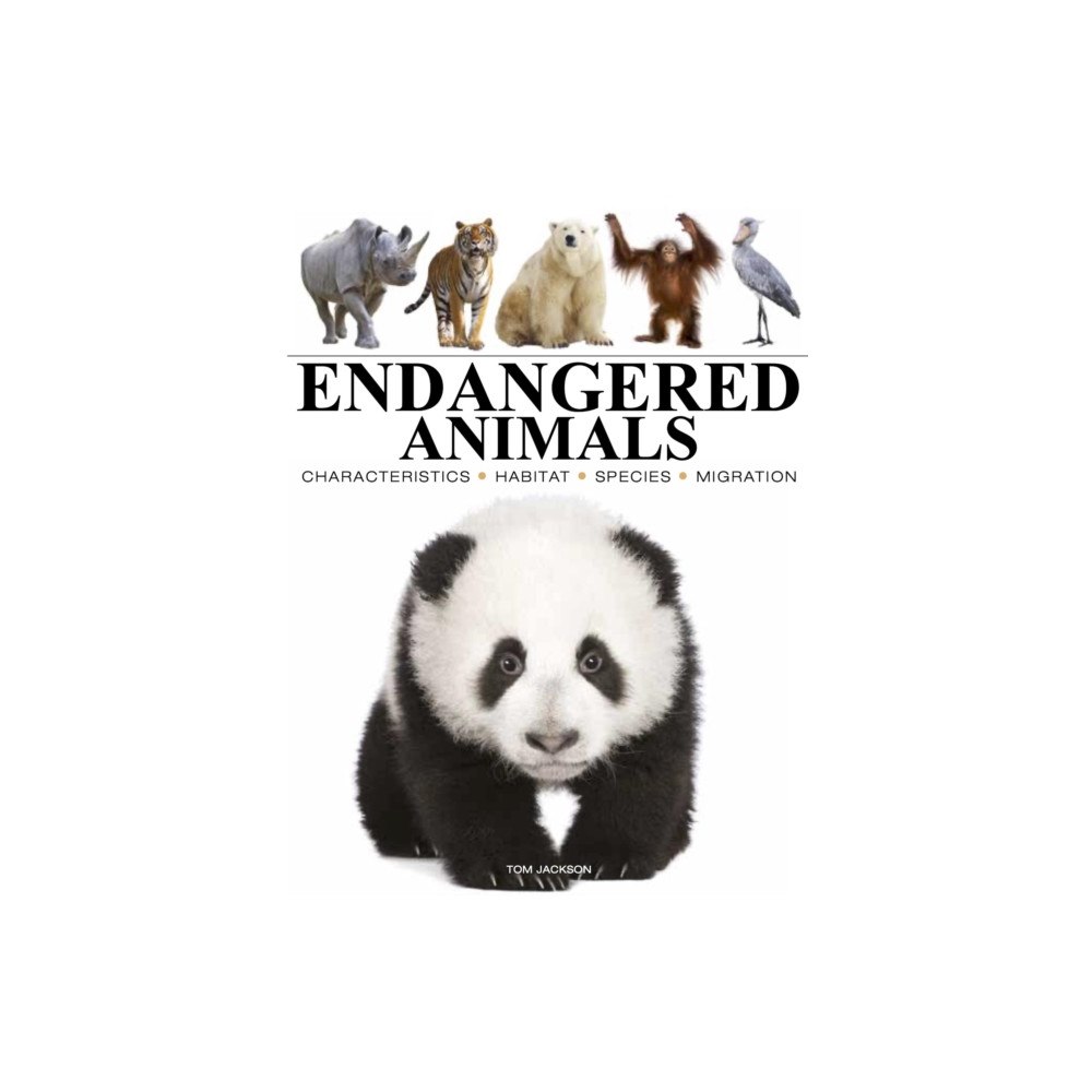 Amber Books Ltd Endangered Animals (häftad, eng)