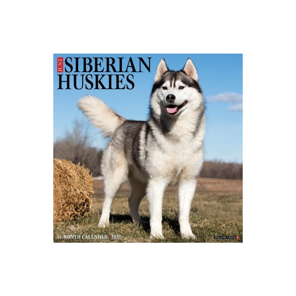 Willow Creek Press Siberian Huskies 2027 Wall (häftad, eng)