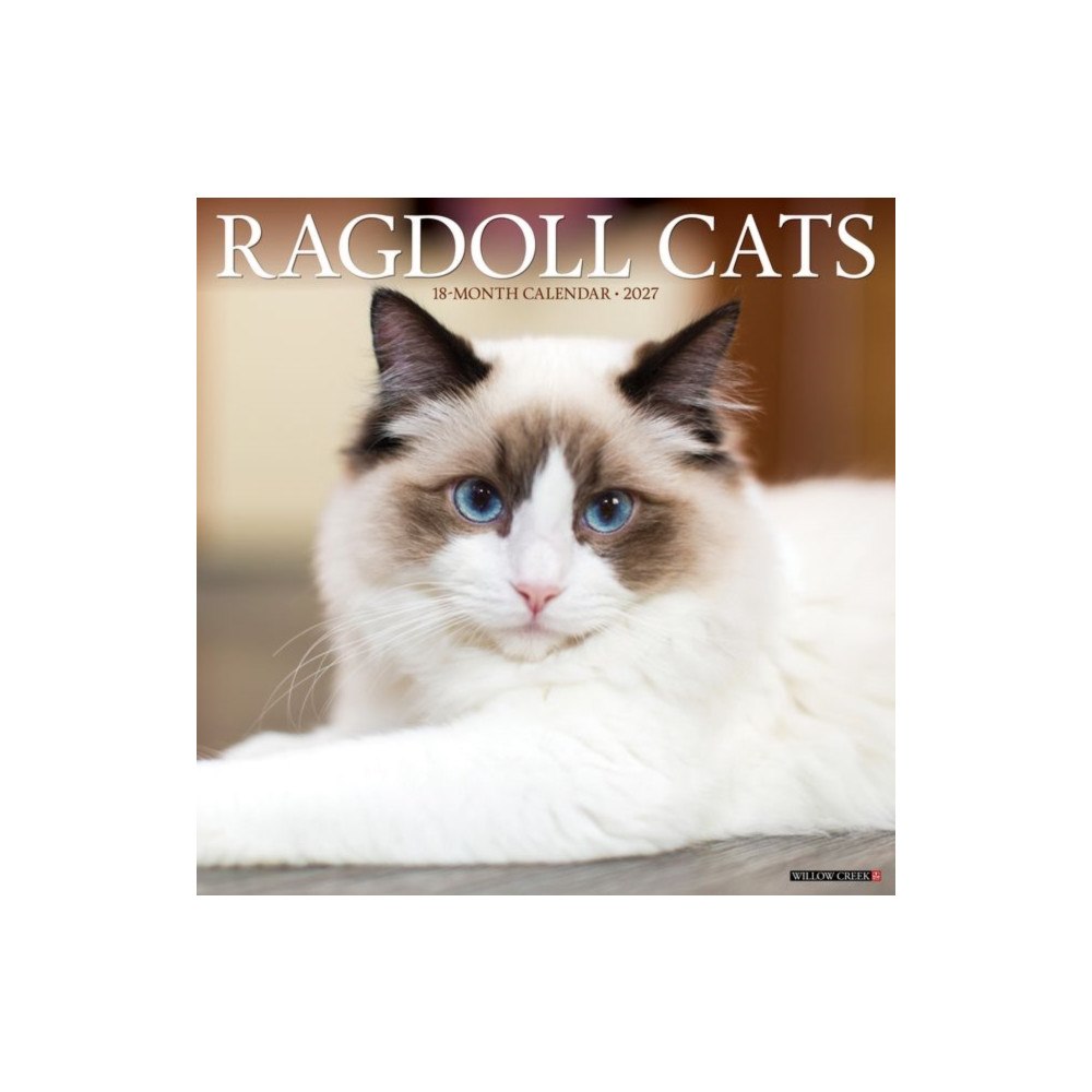 Willow Creek Press Ragdoll Cats 2027 Wall (häftad, eng)