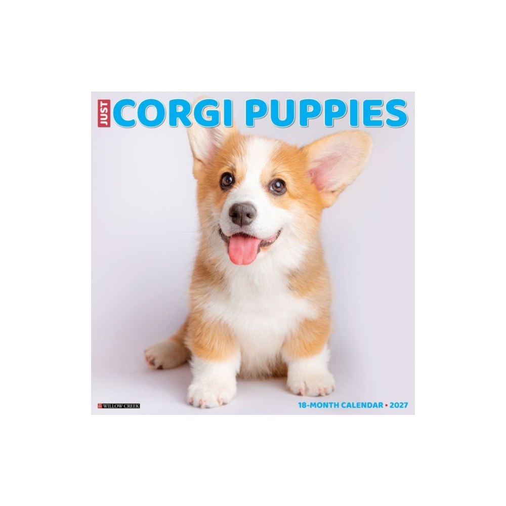 Willow Creek Press Corgi Puppies 2027 Wall (häftad, eng)