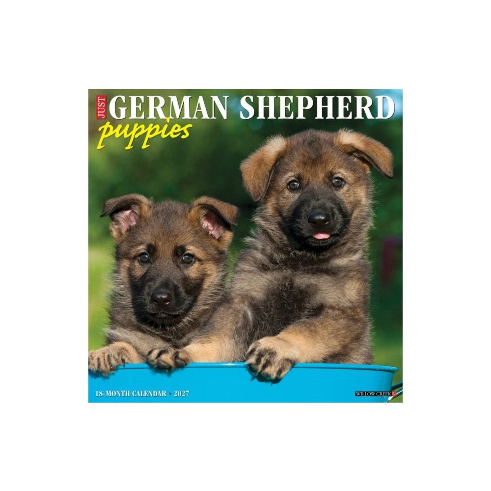 Willow Creek Press German Shepherd Puppies 2027 Wall (häftad, eng)
