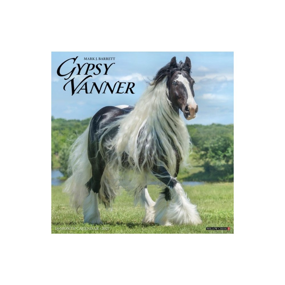 Willow Creek Press Gypsy Vanner Horse 2027 Wall (häftad, eng)
