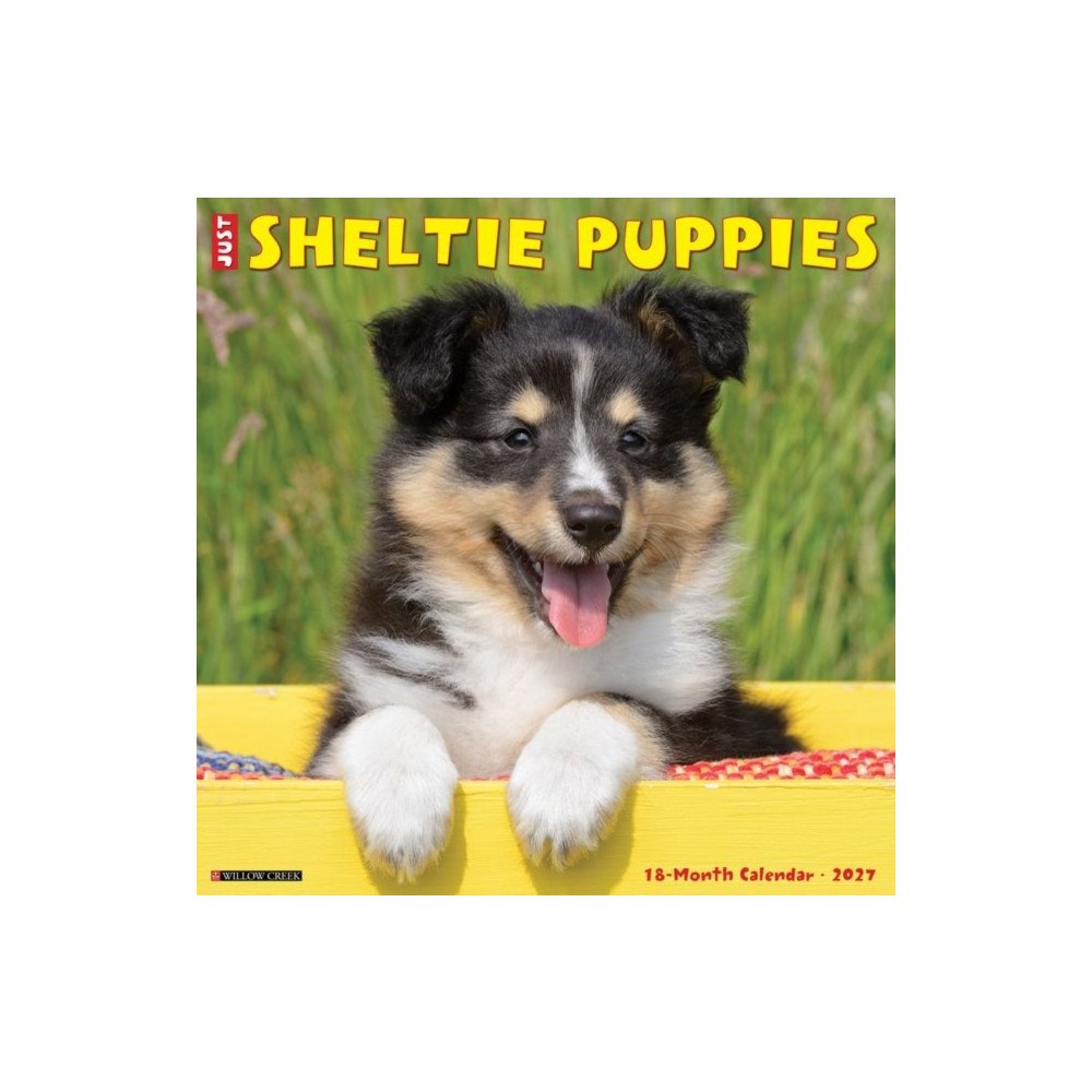 Willow Creek Press Sheltie Puppies 2027 Wall (häftad, eng)