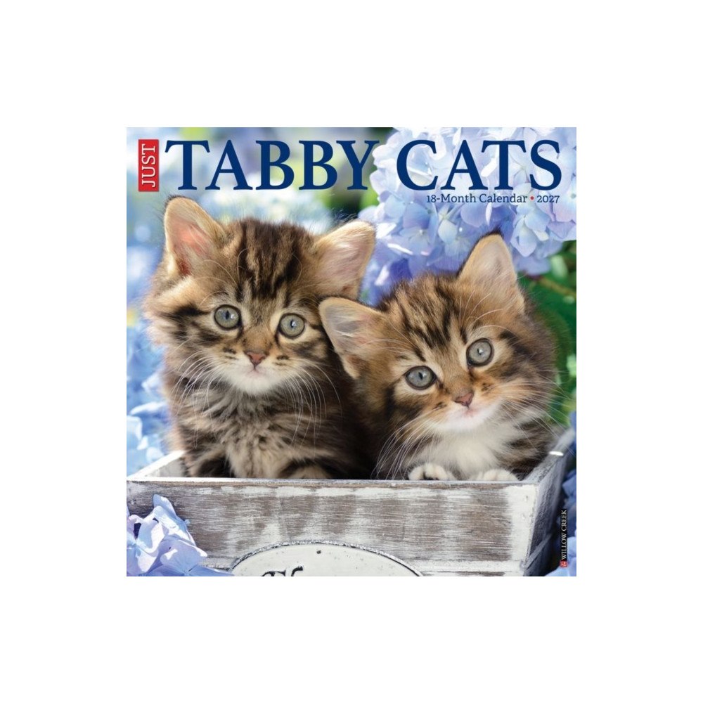 Willow Creek Press Tabby Cats 2027 Wall (häftad, eng)