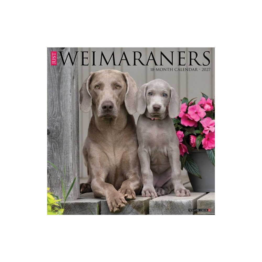 Willow Creek Press Weimaraners 2027 Wall (häftad, eng)