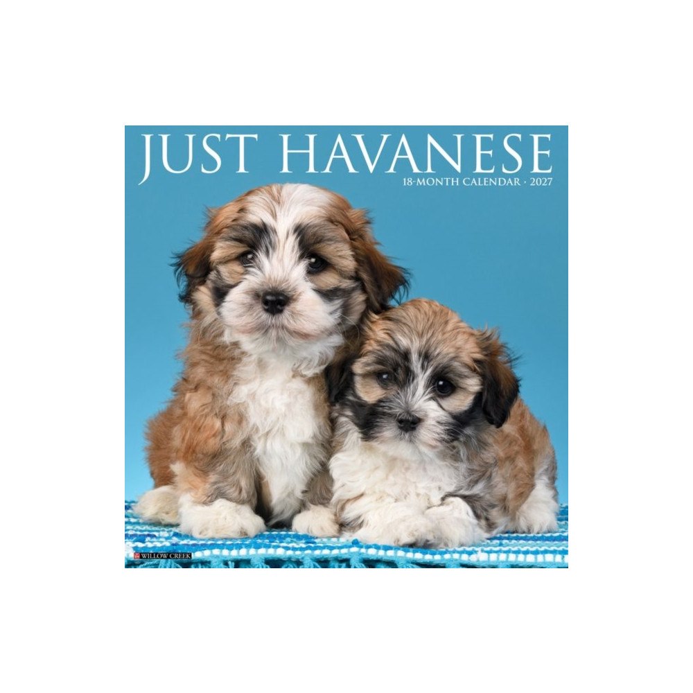 Willow Creek Press Havanese 2027 Wall (häftad, eng)