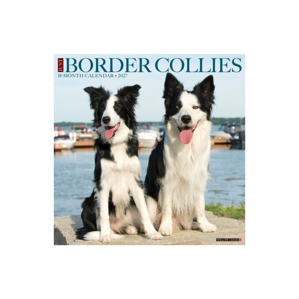 Willow Creek Press Border Collies 2027 Wall (häftad, eng)