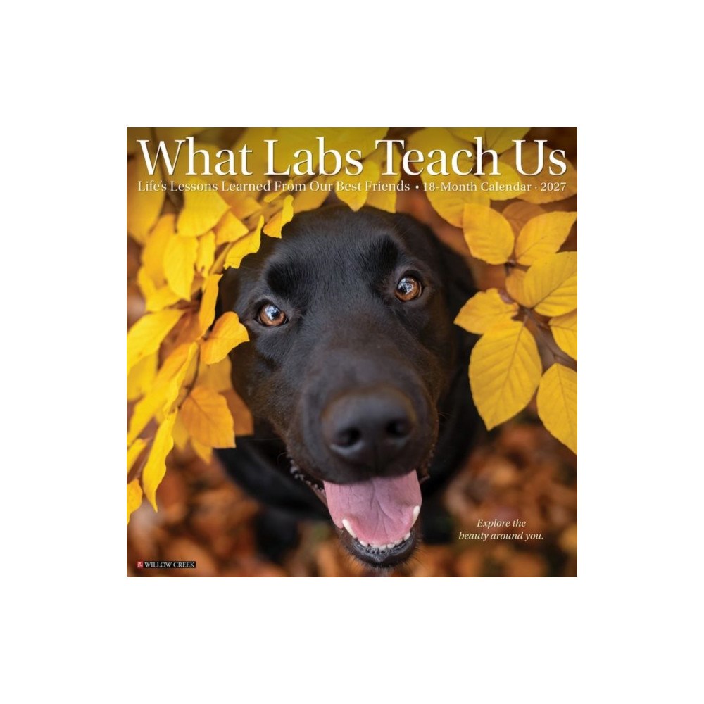 Willow Creek Press What Labs Teach Us 2027 Wall (häftad, eng)