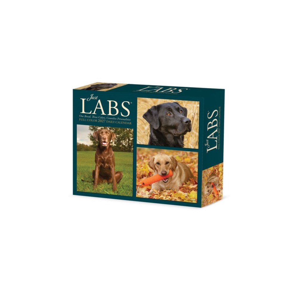 Willow Creek Press Labs 2027 Box (häftad, eng)