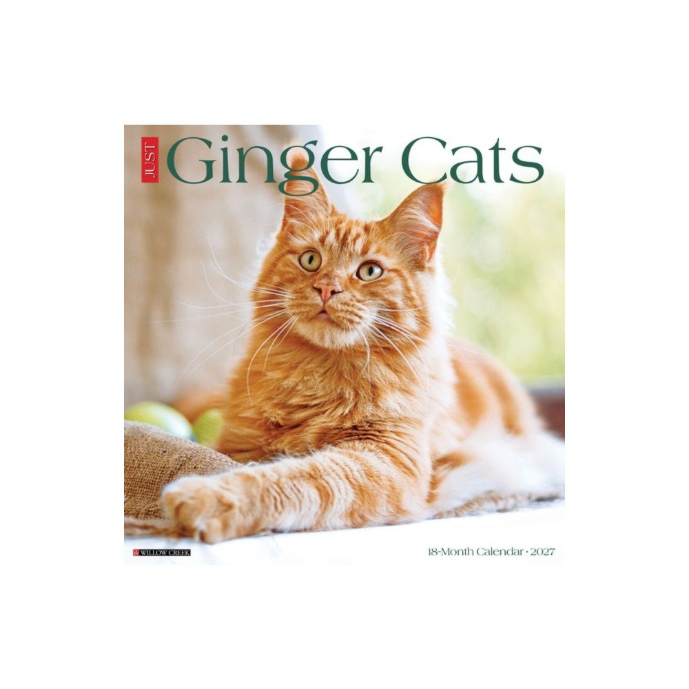Willow Creek Press Ginger Cats 2027 Wall (häftad, eng)