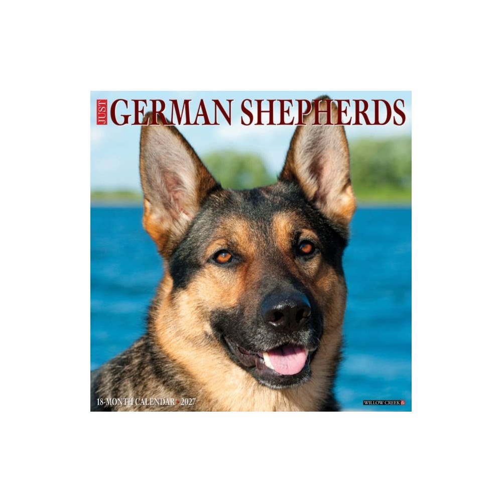 Willow Creek Press German Shepherds 2027 Wall (häftad, eng)