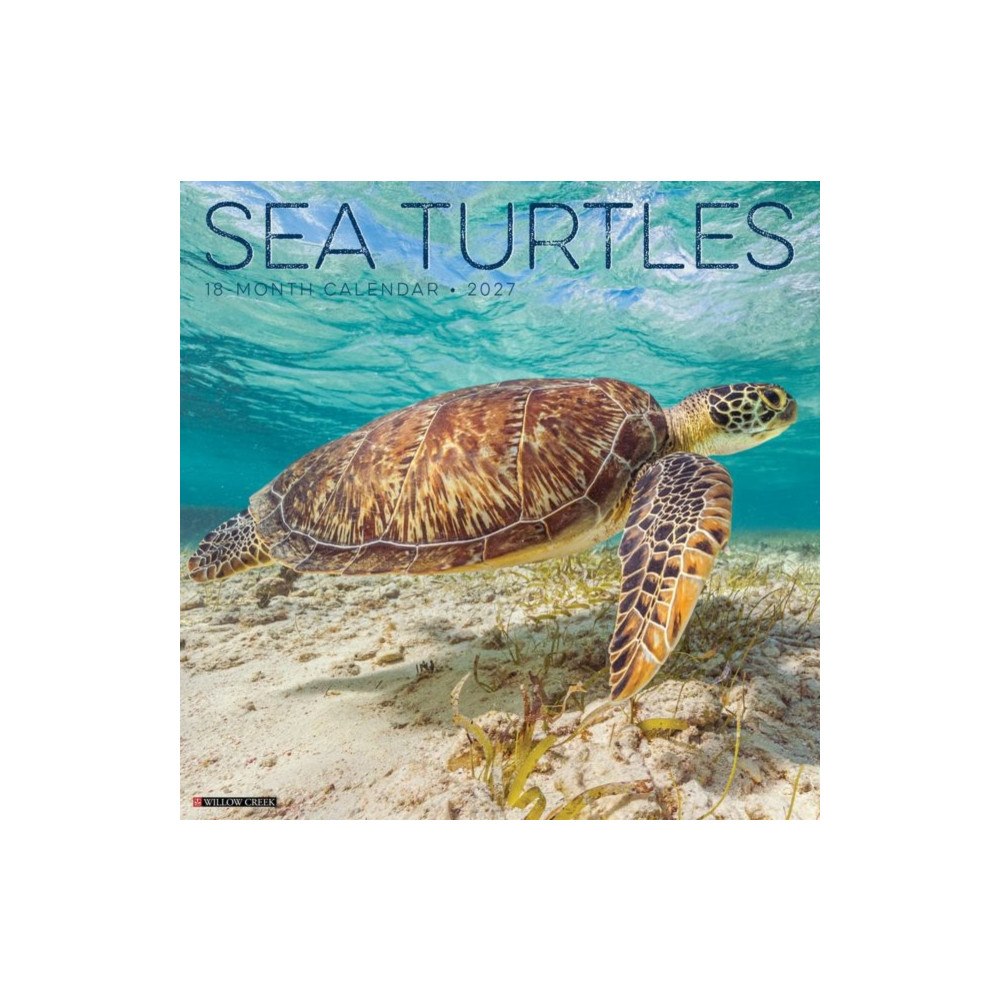 Willow Creek Press Sea Turtles 2027 Wall (häftad, eng)