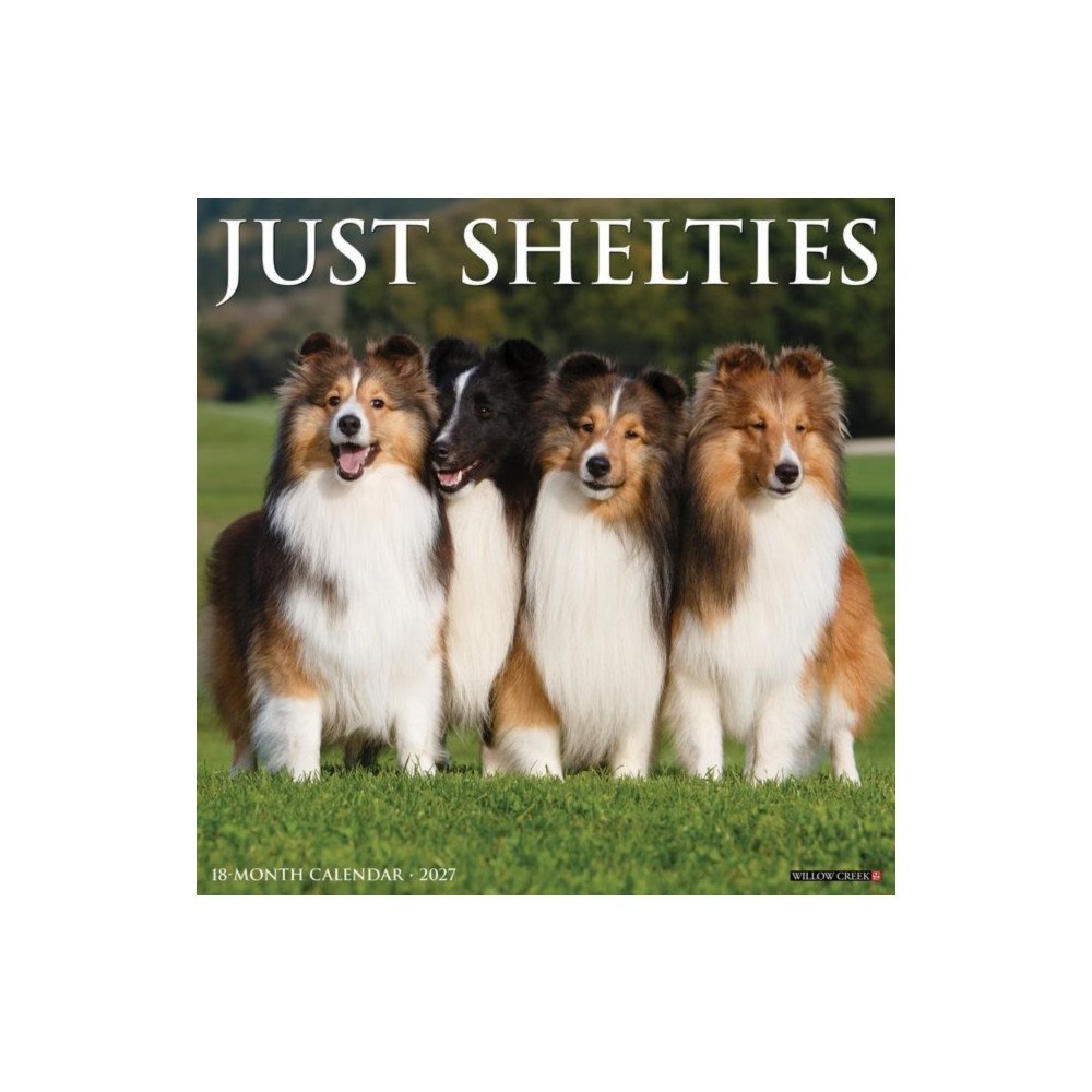 Willow Creek Press Shelties 2027 Wall (häftad, eng)