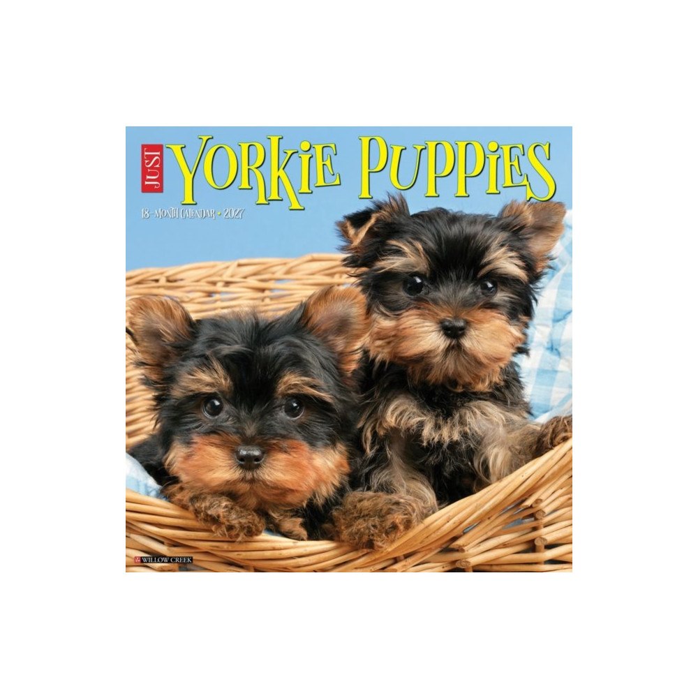 Willow Creek Press Yorkie Puppies 2027 Wall (häftad, eng)