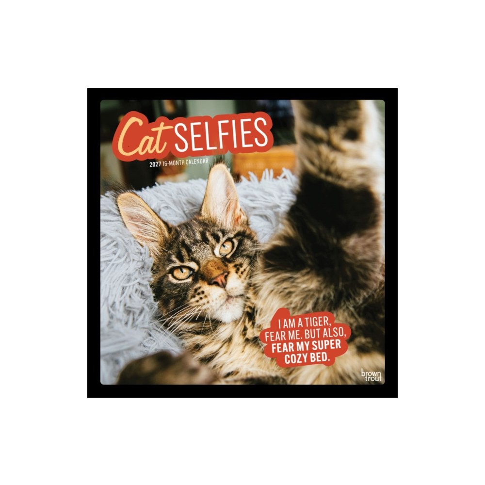 Brown Trout Cat Selfies 2027 Square Flap