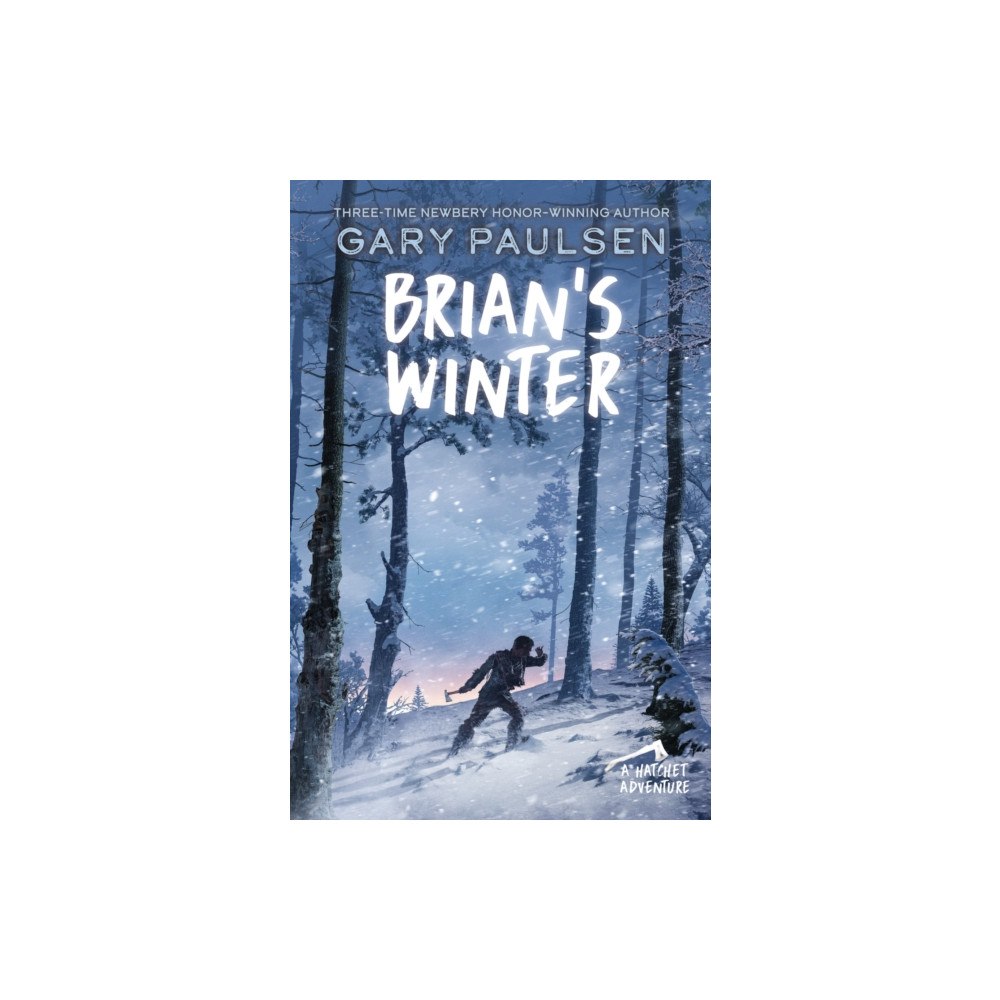 Not Stated Brian's Winter (häftad, eng)
