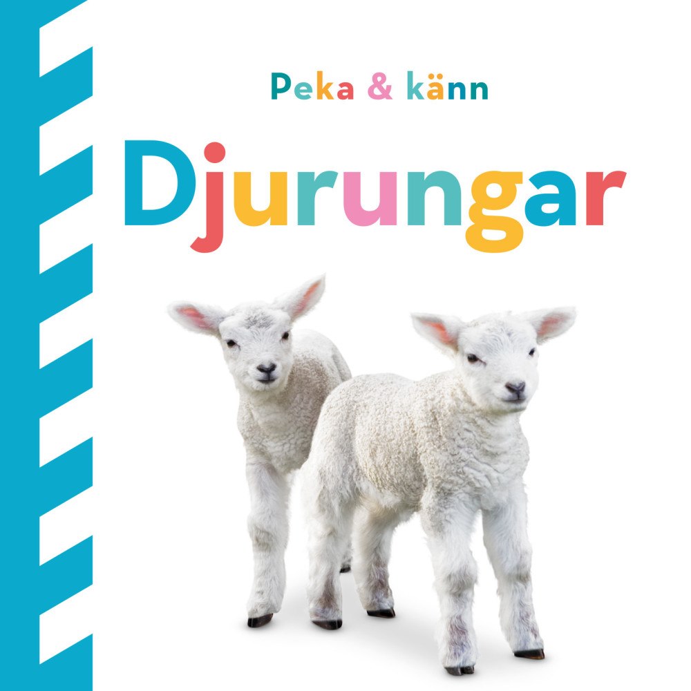 Dawn Sirett Peka och känn : djurungar (bok, board book)