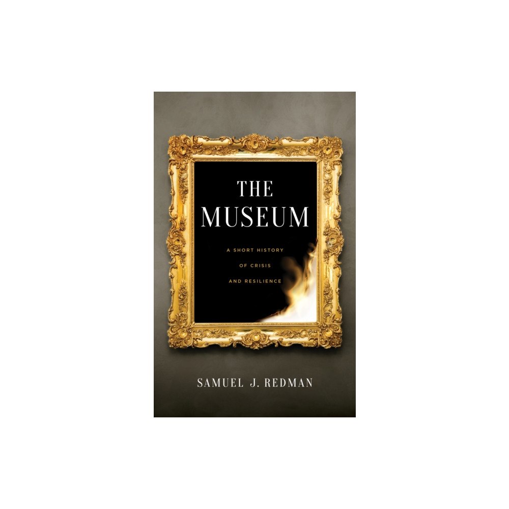 New York University Press The Museum (häftad, eng)