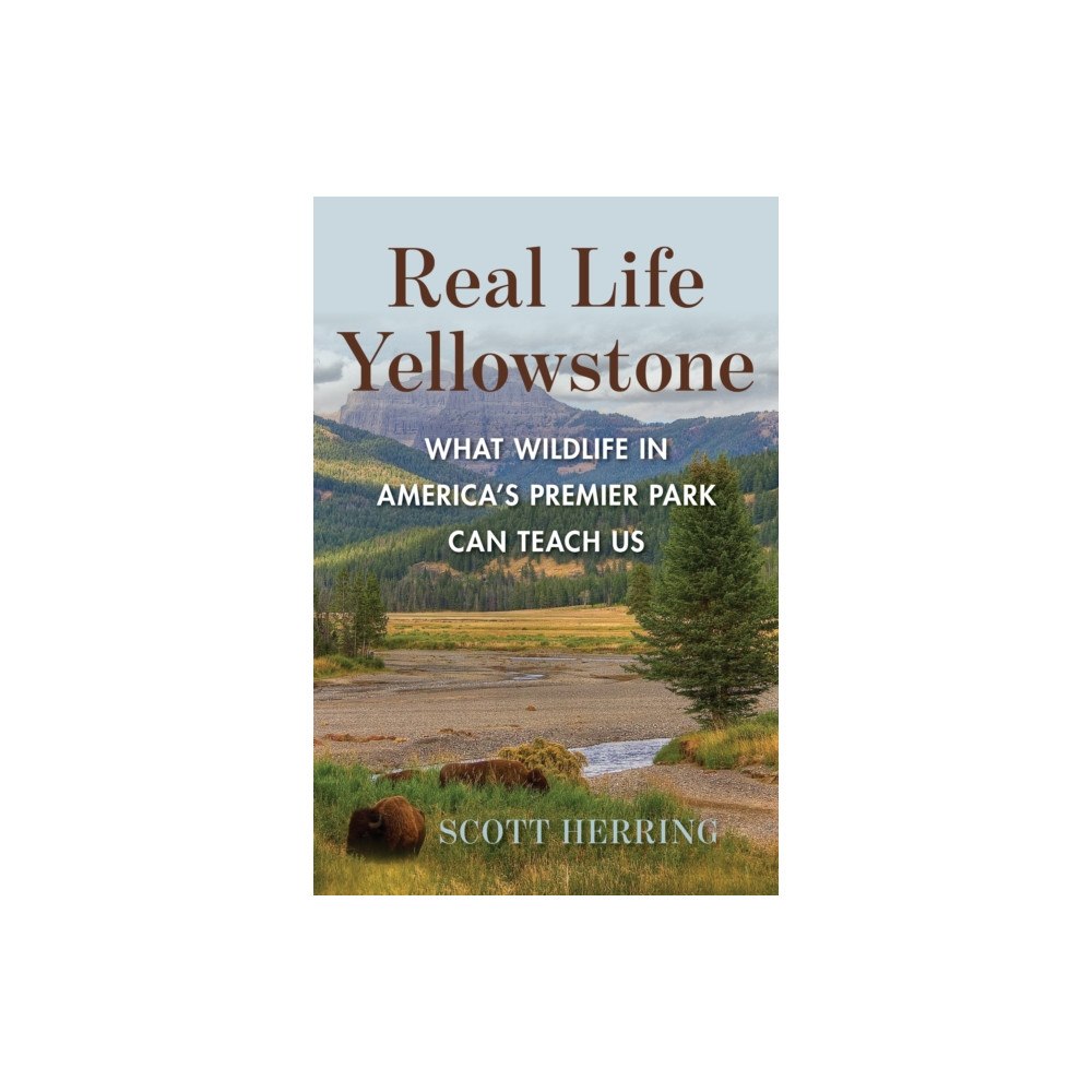 Globe Pequot Press Real Life Yellowstone (häftad, eng)