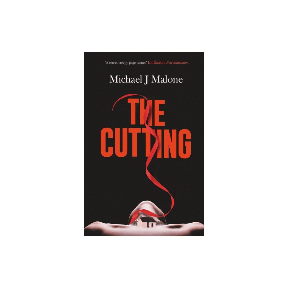 Orenda Books The Cutting (häftad, eng)