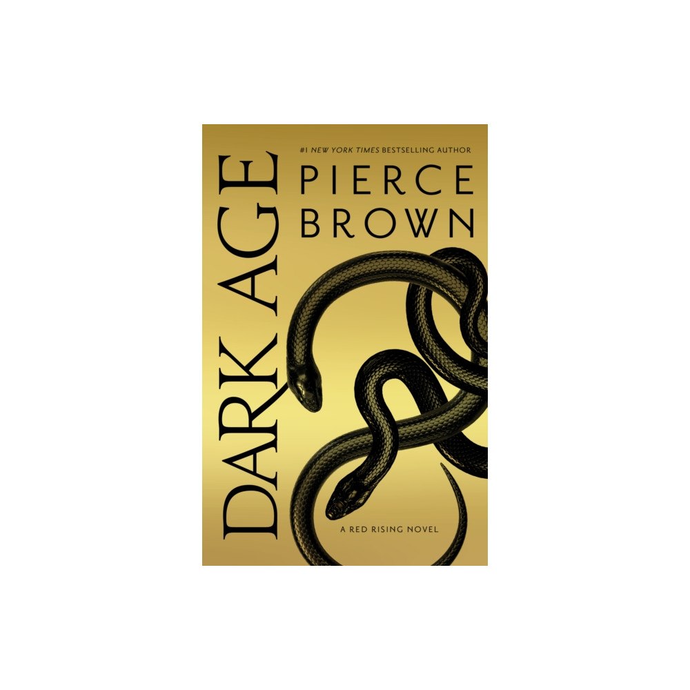 Not Stated Dark Age (inbunden, eng)