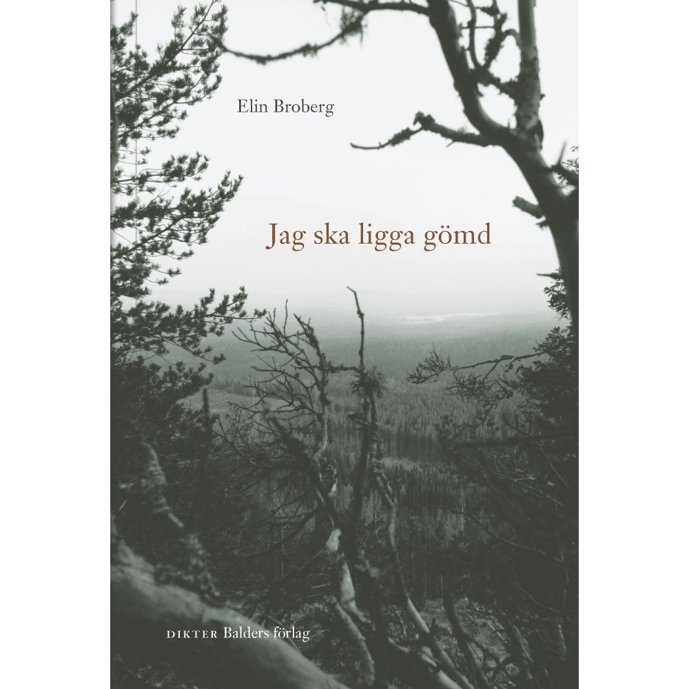 Elin Broberg Jag ska ligga gömd (bok, danskt band)
