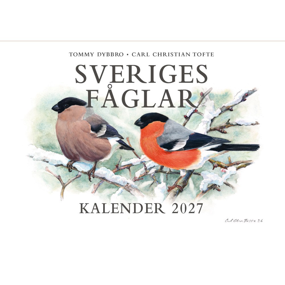 Carl Christian Tofte Sveriges fåglar: kalender 2027 (häftad)