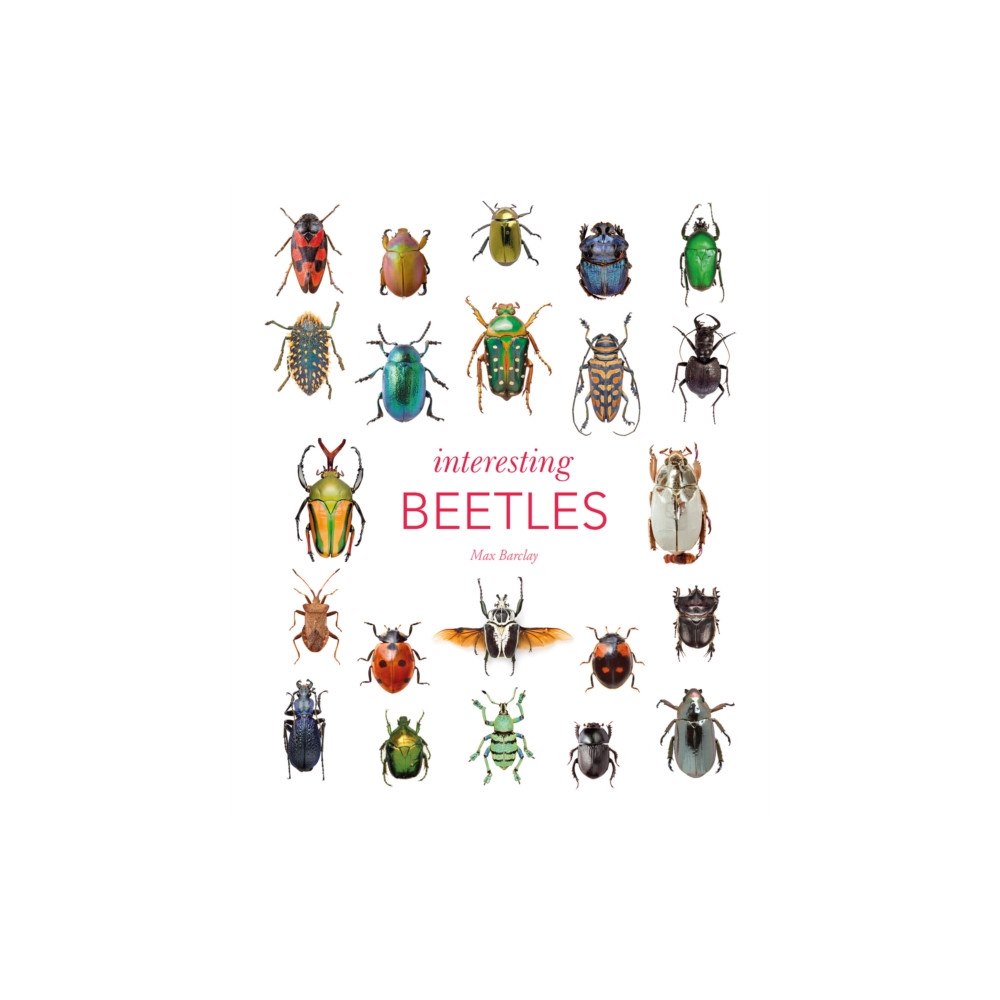 The Natural History Museum Interesting Beetles (inbunden, eng)