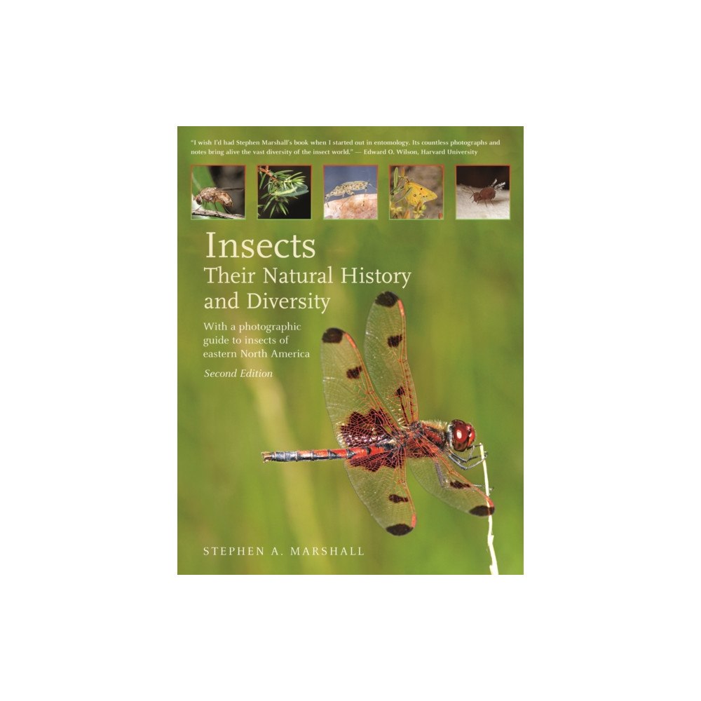 Firefly Books Ltd Insects: Their Natural History and Diversity (inbunden, eng)