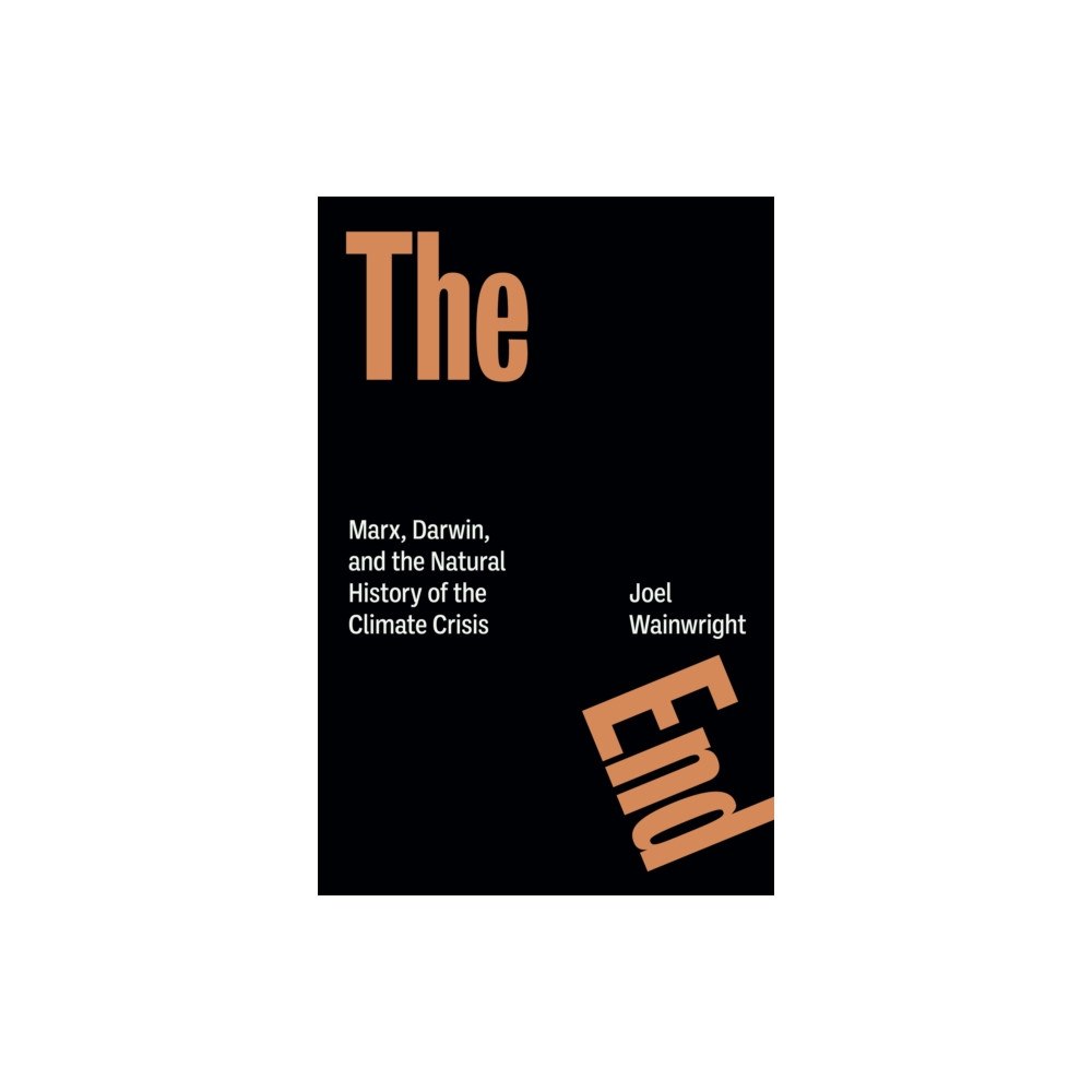 Verso Books The End (häftad, eng)