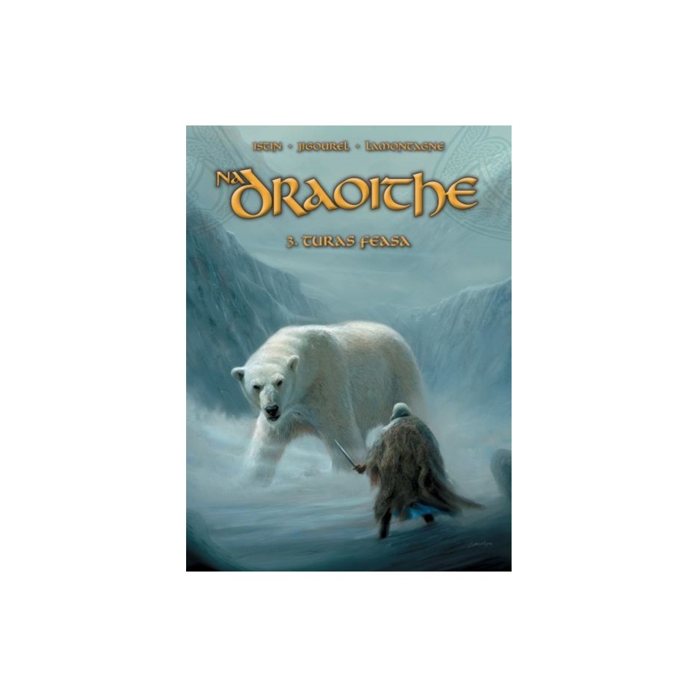 Dalen (Llyfrau) Cyf Na Draoithe 3: Turas Feasa (häftad, gle)