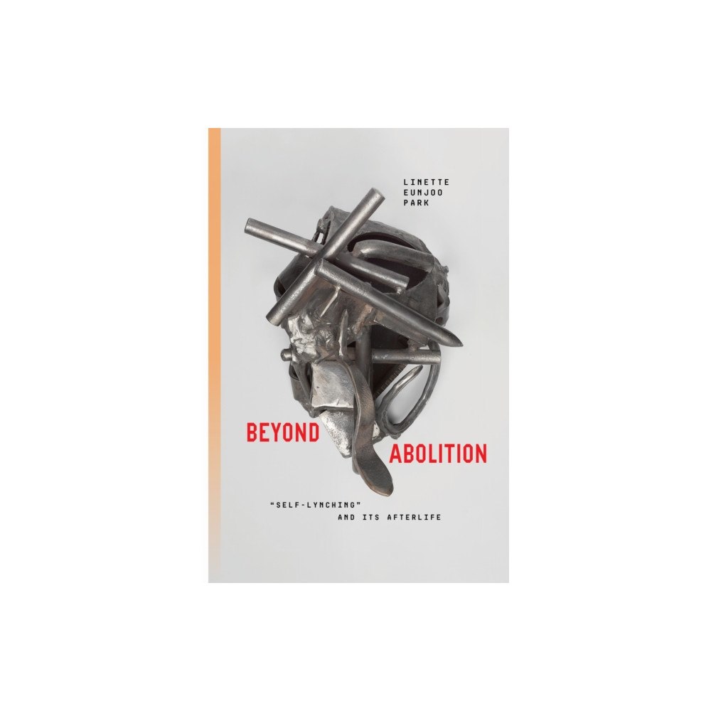 Stanford university press Beyond Abolition (häftad, eng)