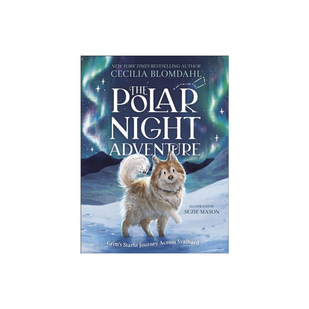 Dorling Kindersley Ltd The Polar Night Adventure (inbunden, eng)