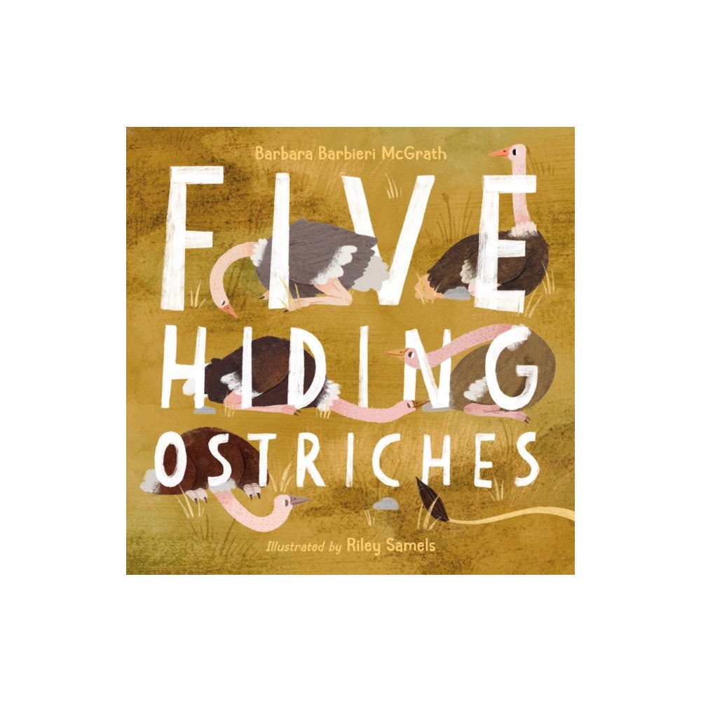 Charlesbridge Publishing,U.S. Five Hiding Ostriches (häftad, eng)