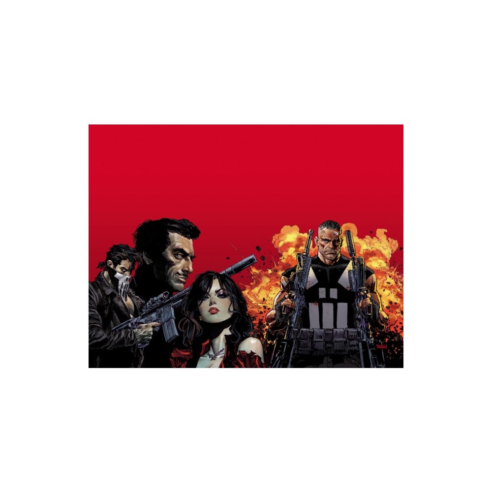 Marvel Comics Marvel Knights: Punisher (häftad, eng)