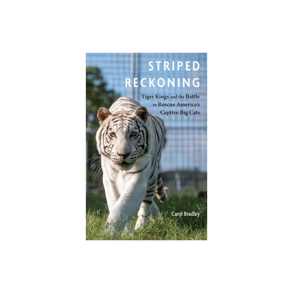 University of Nebraska Press Striped Reckoning (häftad, eng)