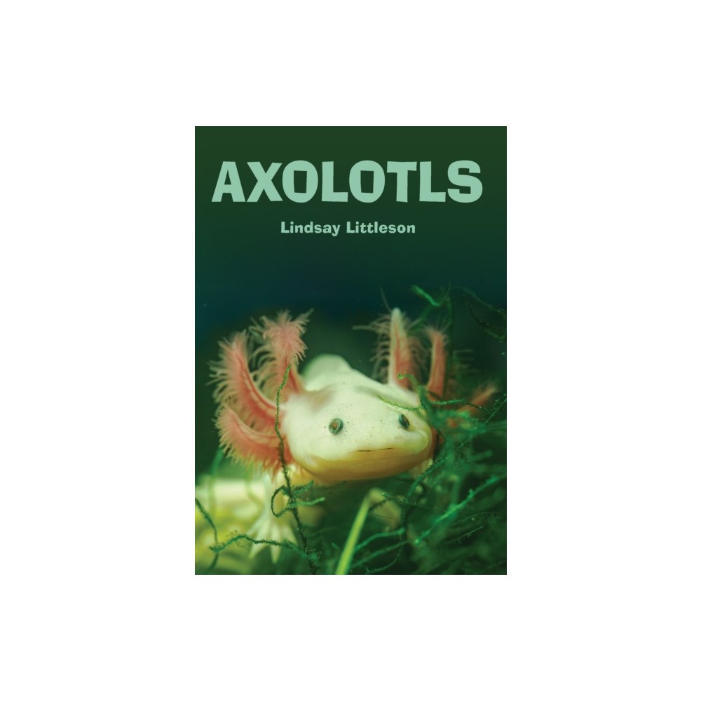 Badger Publishing Axolotls (häftad, eng)