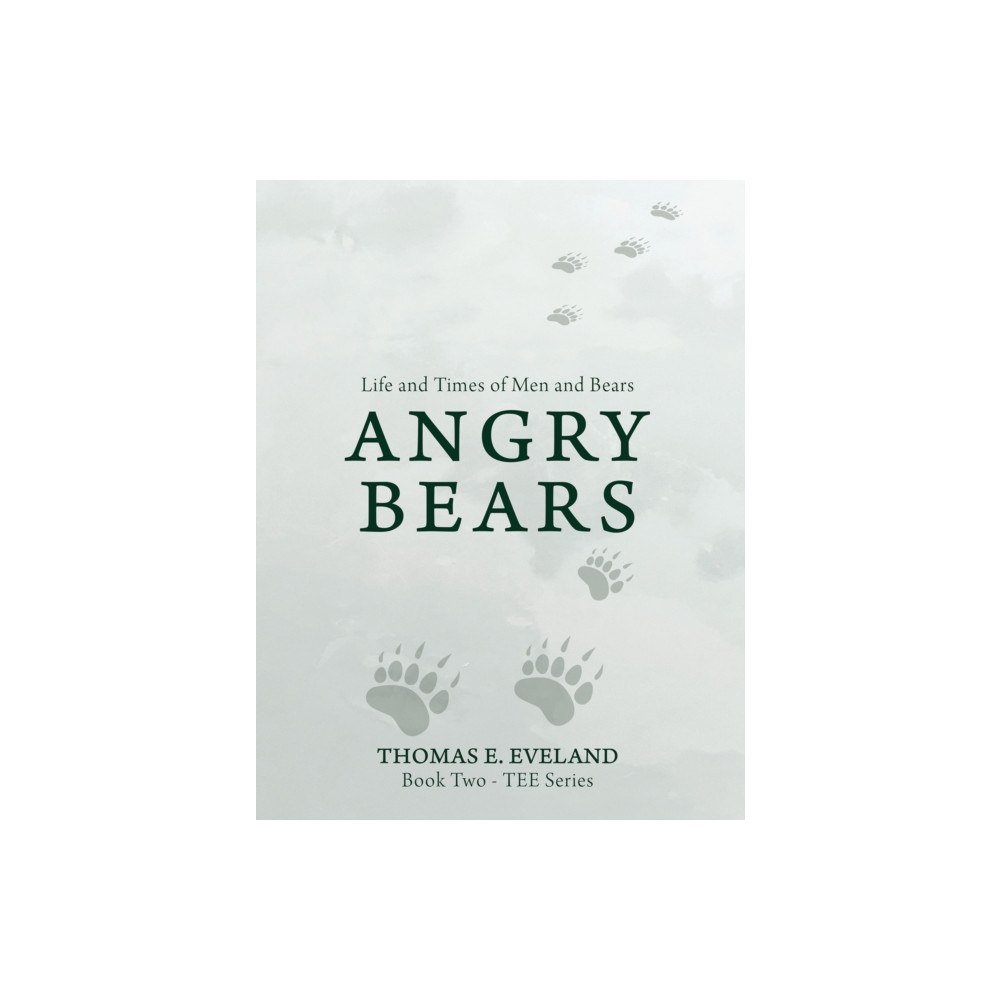 Austin Macauley Publishers LLC Angry Bears (häftad, eng)