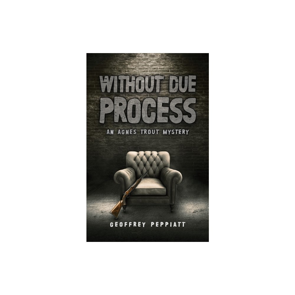 Austin Macauley Publishers Without Due Process (häftad, eng)