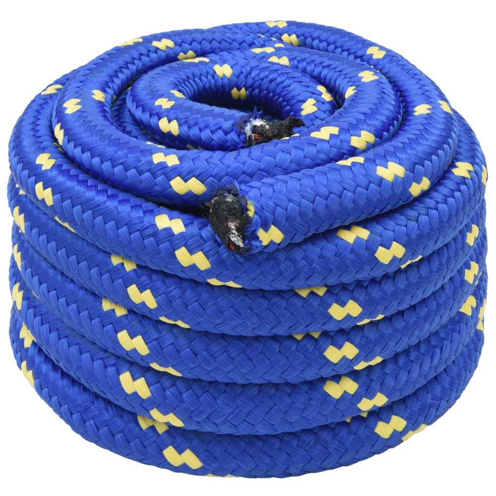 vidaXL Mångsidigt bruksrep 30 mm 10 m Blå PP 5400 kg Maxbelastning