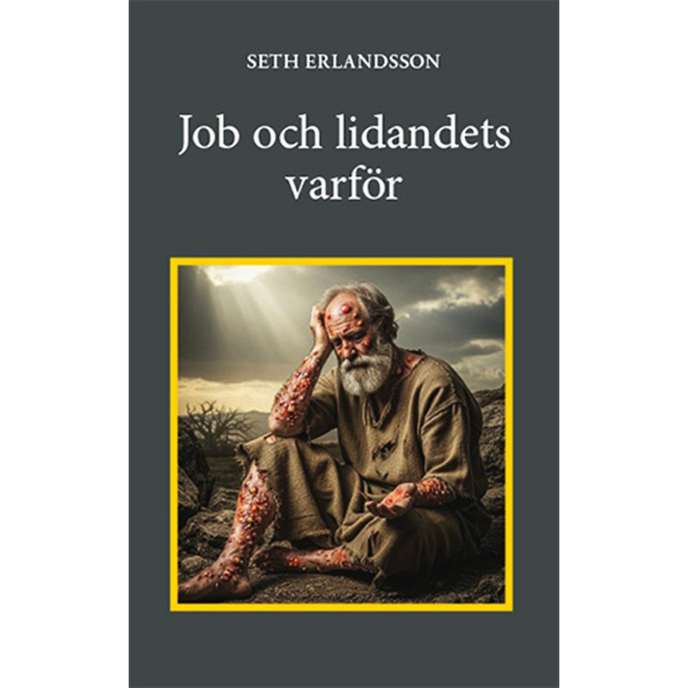 Seth Erlandsson Job och lidandets varför (inbunden)