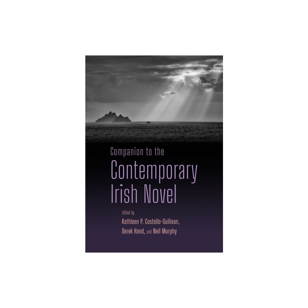 Syracuse University Press Companion to the Contemporary Irish Novel (häftad, eng)