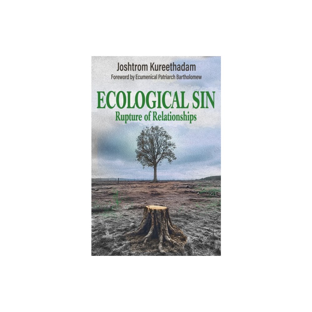 Orbis Books (USA) Ecological Sin: Rupture of Relationships (häftad, eng)