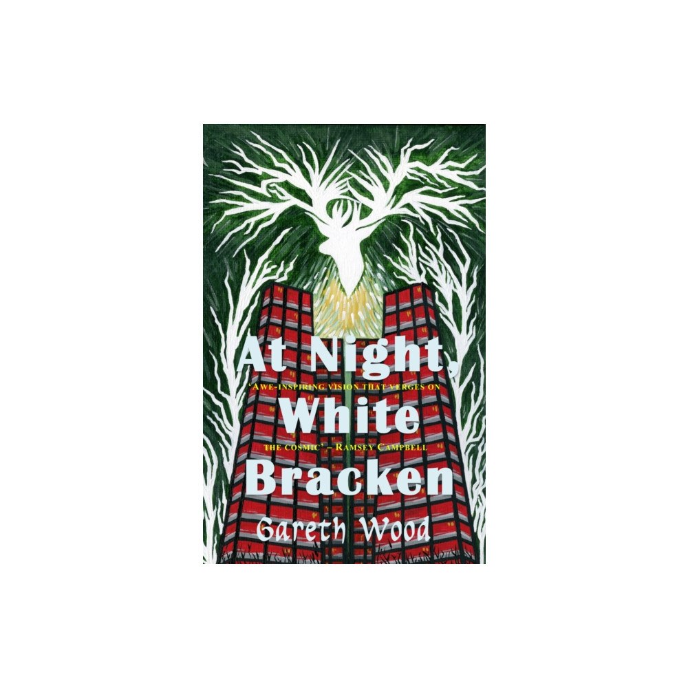Stairwell Books At Night White Bracken (häftad, eng)