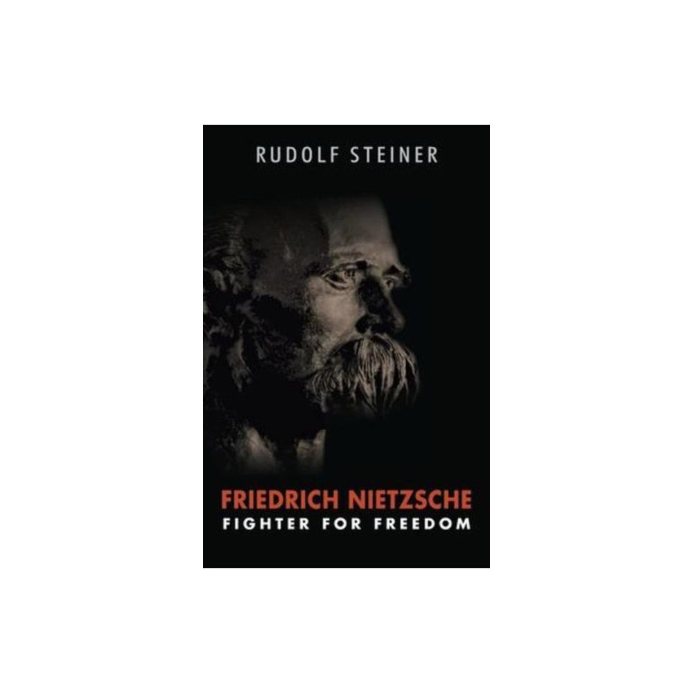 SteinerBooks, Inc Friedrich Nietzsche (häftad, eng)